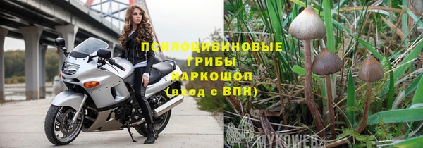 СК Протвино