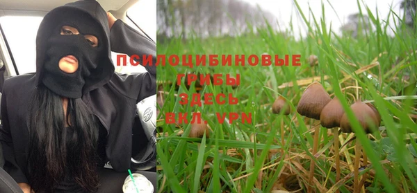 СК Протвино