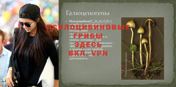 apvp Пролетарск