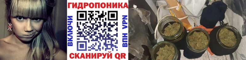 Бошки Шишки гибрид  Купить закладки  Черкесск 